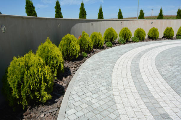 Best Residential Paver Driveway  in Davis, CA